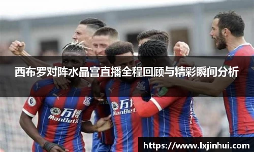 西布罗对阵水晶宫直播全程回顾与精彩瞬间分析