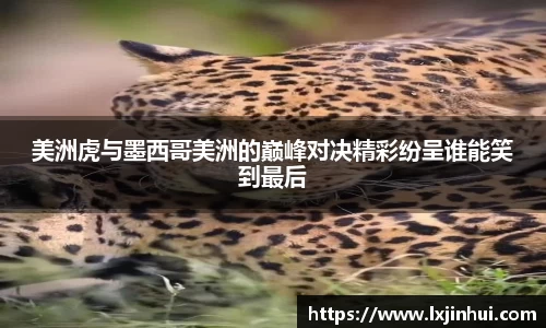 九游娱乐jiuyou