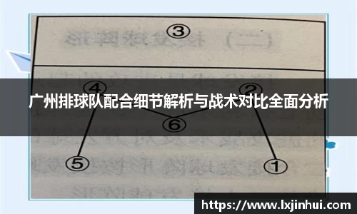 广州排球队配合细节解析与战术对比全面分析